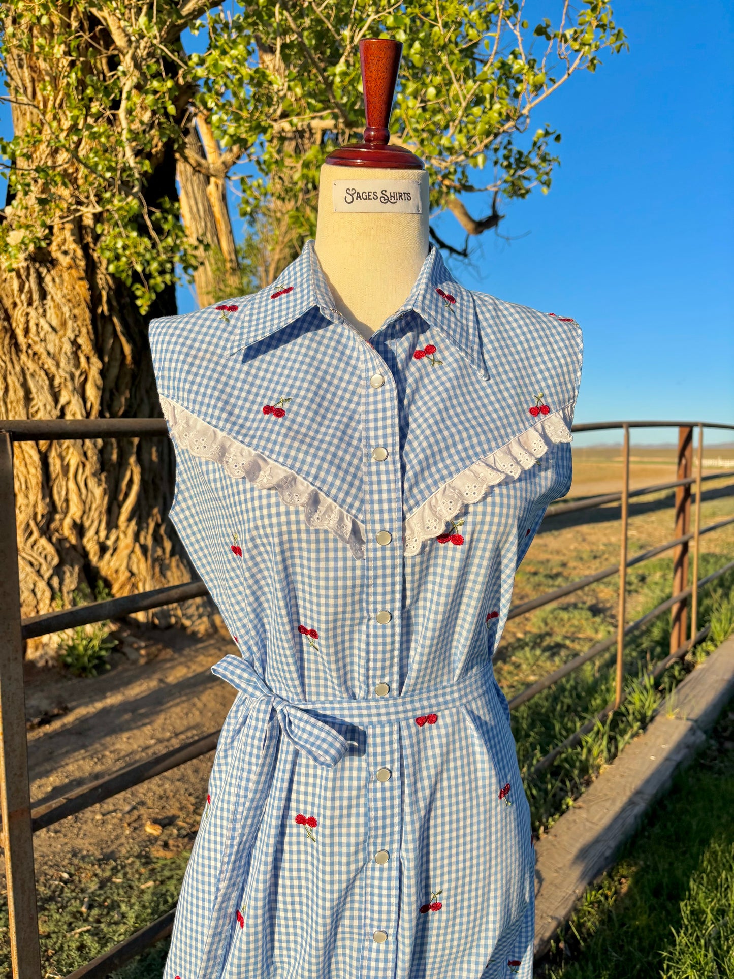 Pearl snap A-line dress