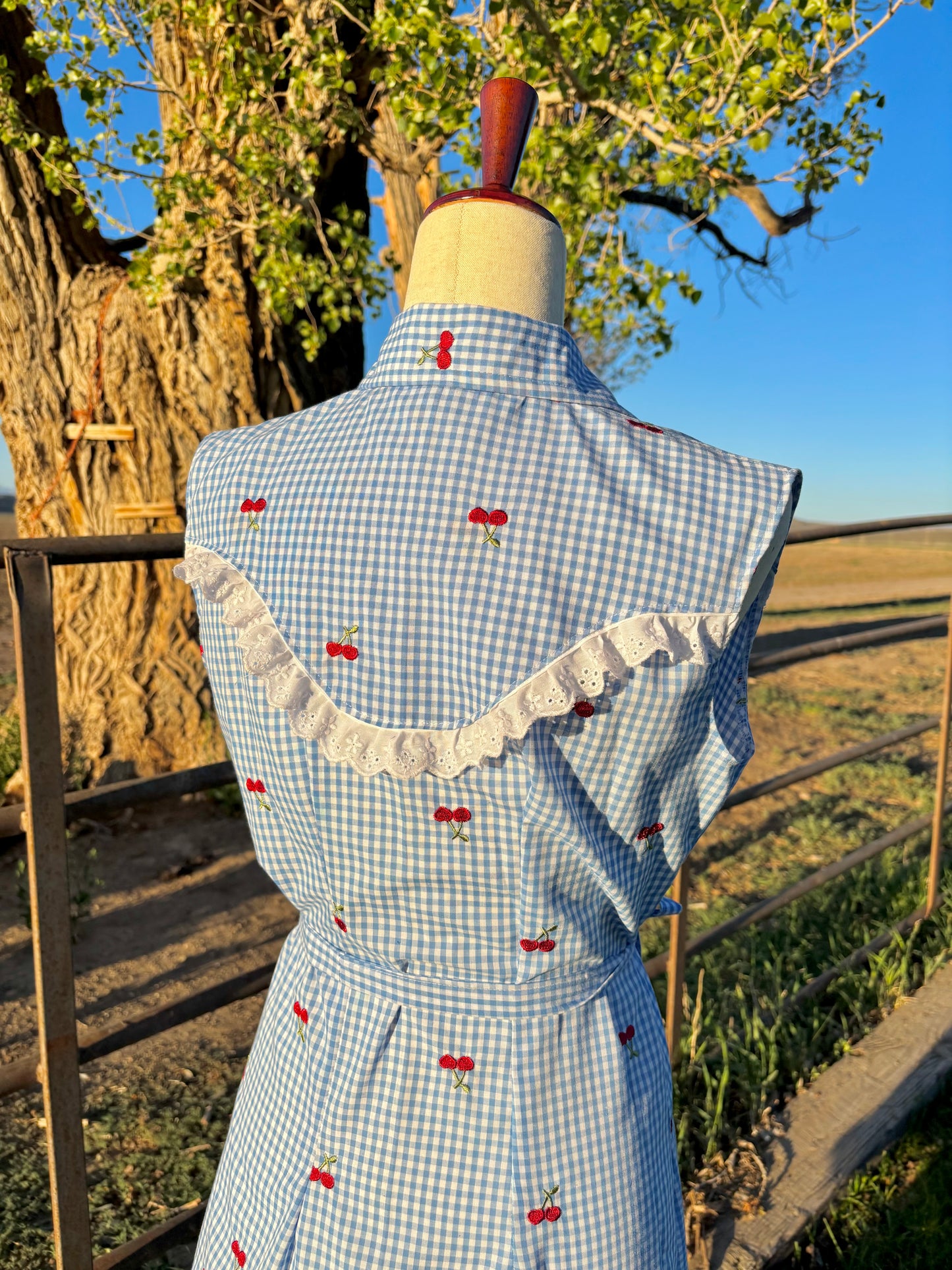 Pearl snap A-line dress